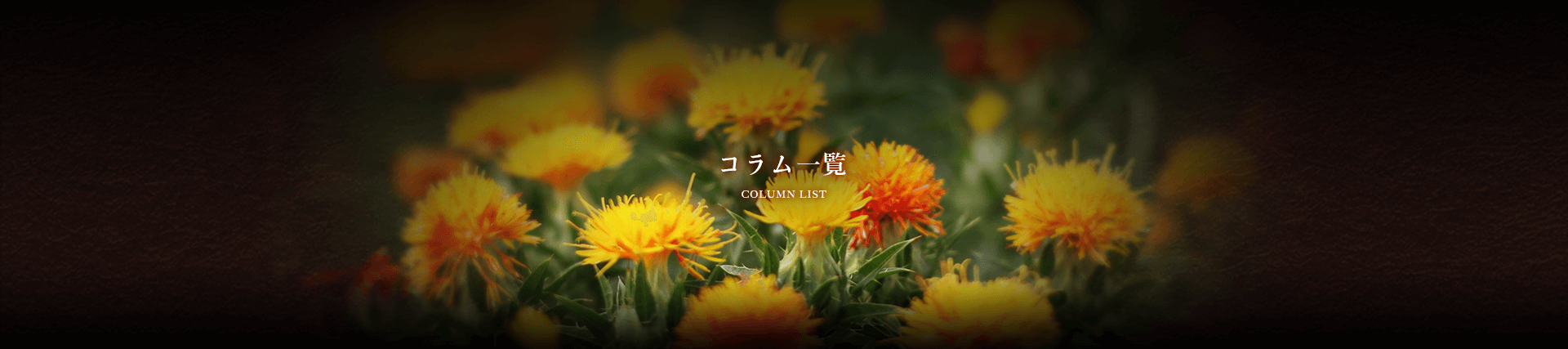 山形県天童市にある人形の柴崎のコラム一覧