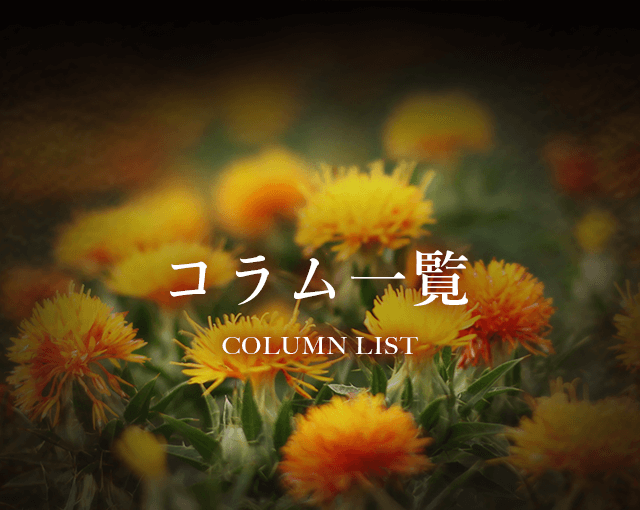 山形県天童市にある人形の柴崎のコラム一覧